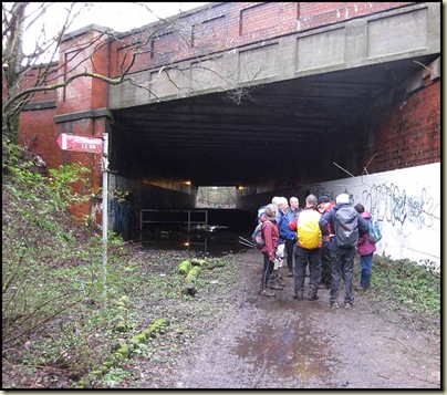 Postcard from Timperley: 20/02/2011 - 27/02/2011